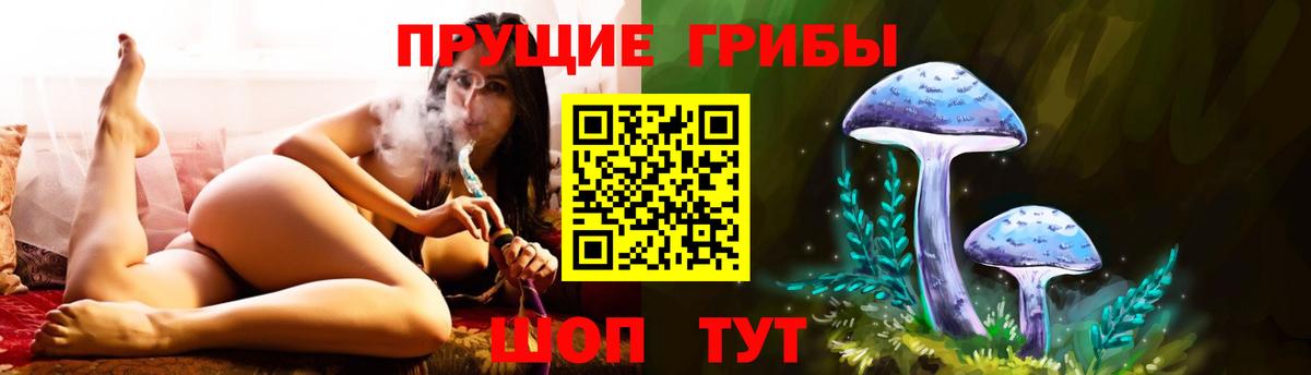 Салехард  Псилоцибиновые грибы прущие грибы  Вход с VPN 